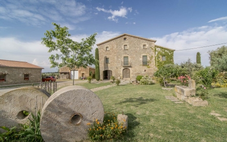 Wandering around the gardens